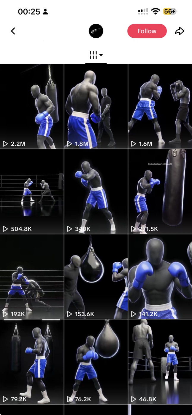 Profil TikTok : boxeur 3D, jusqu'à 2,2M de vues